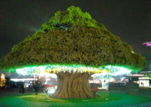 big-tree